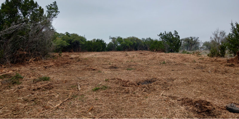 tree-clearing-res (1) Tree Services in Dallas, Georgia