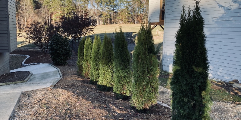 Landscaping in Canton, Georgia